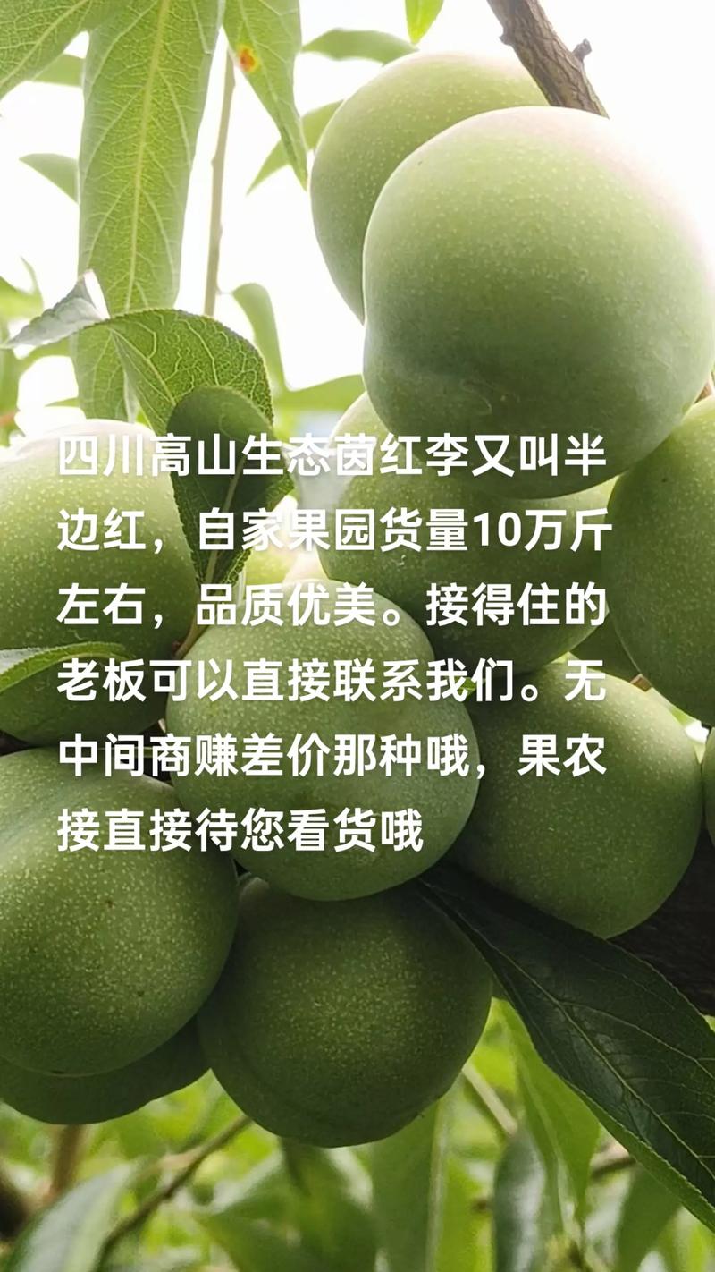 警惕农业误区：中旺农业帮你拨云见日